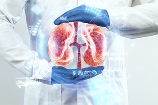 urologia